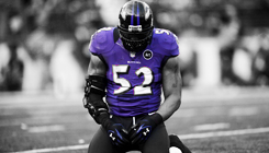ballsandlipgloss:  Ray Lewis’ goodbye to his Baltimore fans.