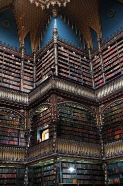 angel-kiyoss:Library in Rio De Janeiro, Brazil