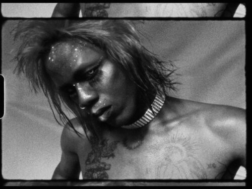 halcyon20001: