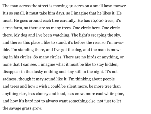 The man across the street is mowing 40 acres on a small lawn mower.
It's so small, it must take him days, so I imagine that he likes it. He
must. He goes around each tree carefully. He has 10,000 trees; it's
a tree farm, so there are so many trees. One circle here. One circle
there. My dog and I've been watching. The light's escaping the sky,
and there's this place I like to stand, it's before the rise, so I'm invis-
ible. I'm standing there, and I've got the dog, and the man is mow-
ing in his circles. So many circles. There are no birds or anything, or
none that I can see. I imagine what it must be like to stay hidden,
disappear in the dusky nothing and stay still in the night. It's not
sadness, though it may sound like it. I'm thinking about people
and trees and how I wish I could be silent more, be more tree than
anything else, less clumsy and loud, less crow, more cool white pine,
and how it's hard not to always want something else, not just to let
the savage grass grow.