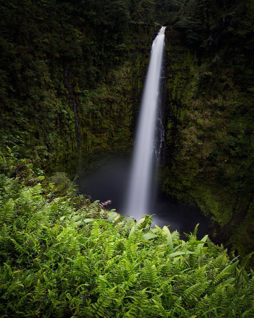theencompassingworld:  paulzizkaphoto:  Back from a first foray into the “wet side”