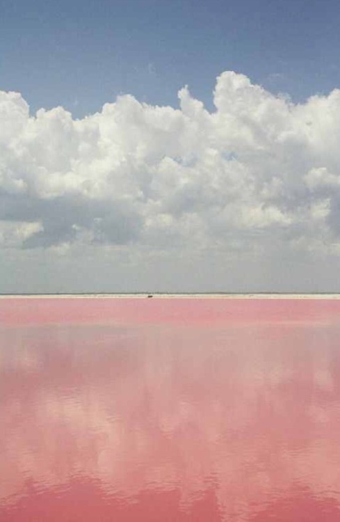 Pink salt pool