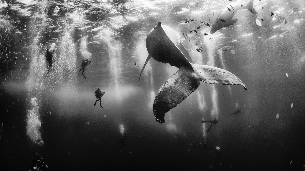 crossconnectmag:  The 10 winning photos from National Geographic Traveler Photo