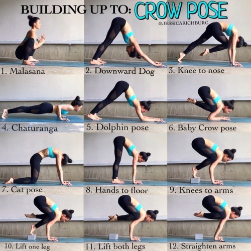 Inversion - Hand Stand prep - Dolphin pose with block & belt - feet at the  wall | Dolphin pose, Poses, Yoga class