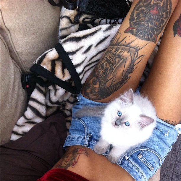 me-di-ci-ne:  http://me-di-ci-ne.tumblr.com/ 