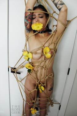 theropegeek:  rope and photo by memodel: