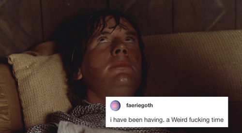 twosheds:Monty Python and the Holy Grail + tumblr text posts