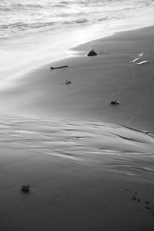 shinjiaratani: ©shinji aratani