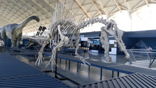 paambtomaquet:Dinosaurs at Museum of science, Valencia, Spain