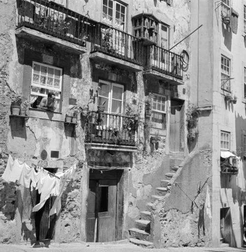 arturpastor:  Série “De volta à Cidade”. Lisboa, Alfama, décadas de 50/60.  