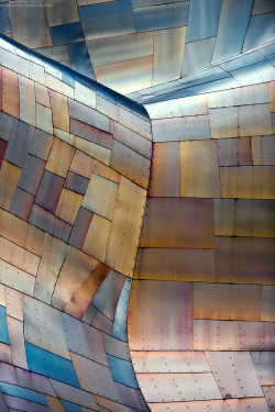 lostinpattern:  EMP Museum Detail III by