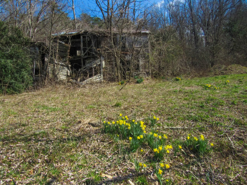 one of my fav abandoned houses in my area&hellip;i can never find her on a map or remember what 