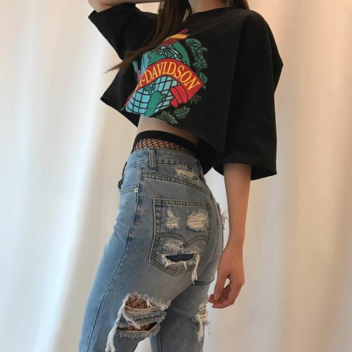 elitesuprema:Elite Suprema ⭐