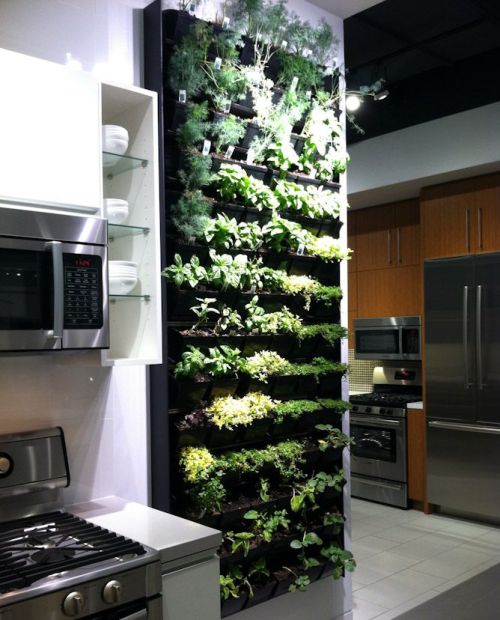 shoushoude:  ijustwanttobeahealthyhappyvegan:  fiirechild:  Herb Garden in Kitchen   We’ve already bought one of these for the house we’re moving into later in the year and IM SO EXCITED FOR IT!!!! All the fresh herbs get in me please.  PERSONAL