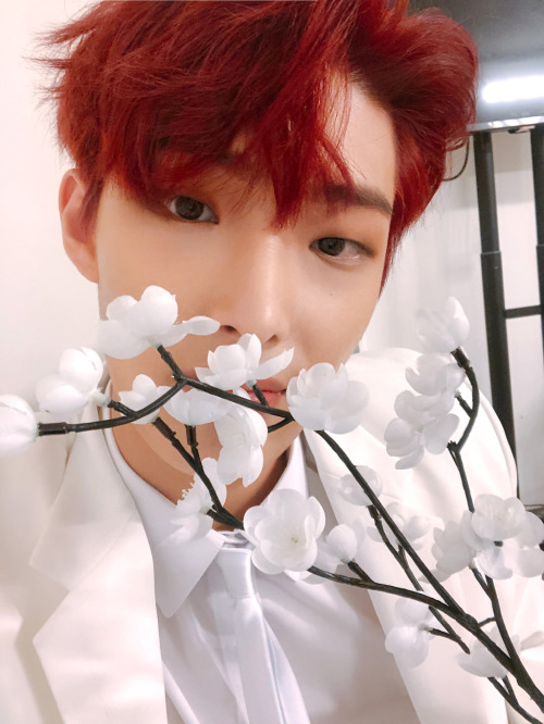 songmingki
