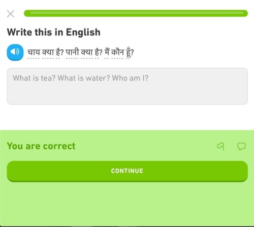 Today&rsquo;s special: existential crisis Duolingo! [Image transcription: &ldquo;चाय क्या है