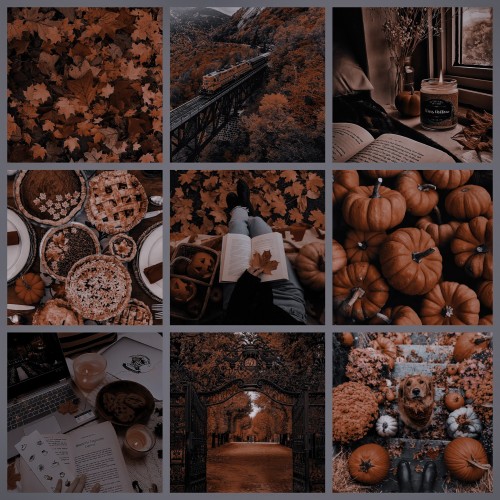 FALL MOODBOARD ~ PART ONE