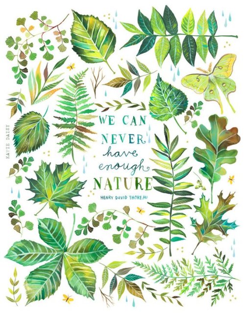 littlealienproducts: Nature | Thoreau Quote by thewheatfield