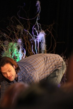 valalecki:  Jared “Oops I Dropped My Mic” Padalecki - Chicon 2013 