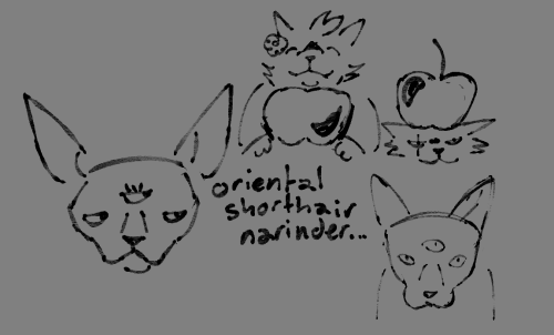 Kibble