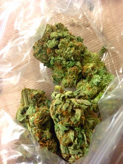 baked-pancakes:  This weed is so pretty😍