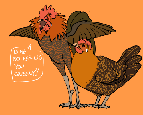 avesdraws:chickens in love