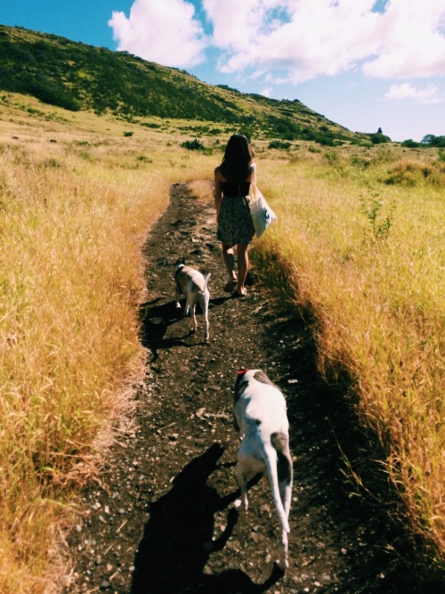 kerrimichiha:  Follow the Leader  Honolulu, HI, USA x 2012