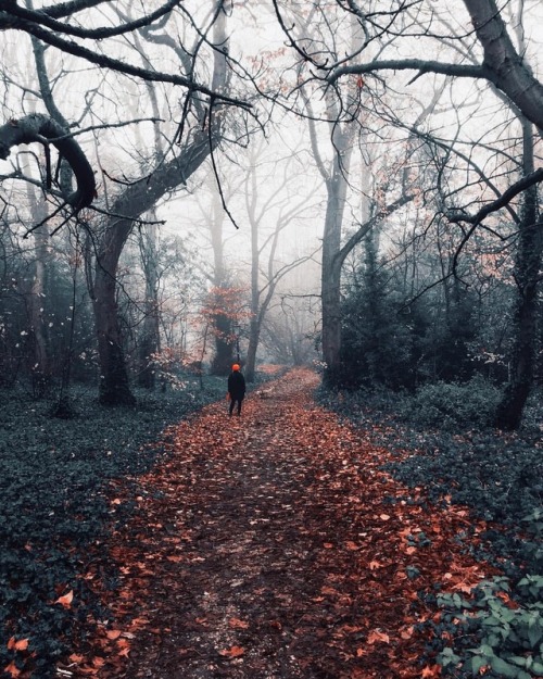 luz-natural:@takarid