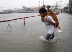 politics-war:  A boy carries his dog while wading in flood waters brought by the monsoon rain, intensified by tropical storm Trami, in Paranaque city, metro Manila on Aug. 20. 