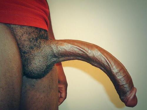 dicknotised:  Submit your photos/videos to our Tumblr by emailing dicknotised@gmail.com or KIK : dicknotised