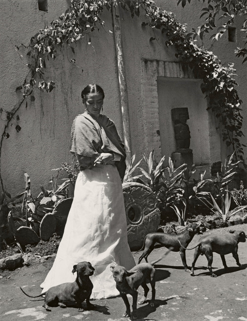 joeinct:Frida Kahlo, Photo by Gisèle Freund,1948