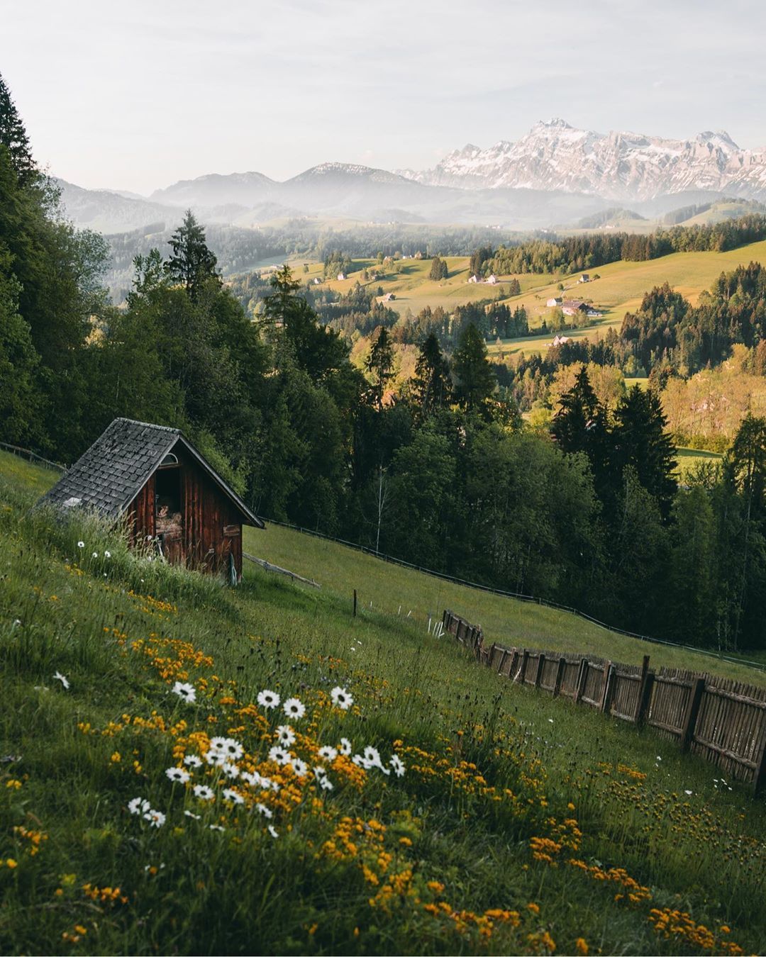 a-delightful-moment:  Dominik Sartorius  