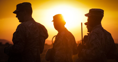 Joint force Airborne operation, during the exercise Saber...