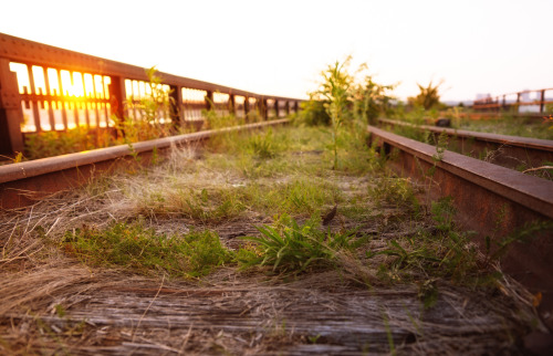 nythroughthelens:  High Line at the Rail Yards. The final section of railroad tracks. —-  The High Line is a public park that sits along a historic freight railroad line elevated high above the streets of New York City on the west side of Manhattan.