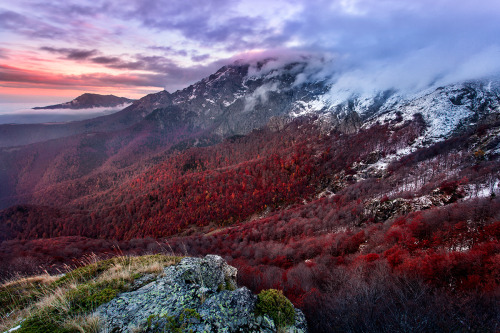 expressions-of-nature:  A Collection of Landscapes by Pavel Pronin 