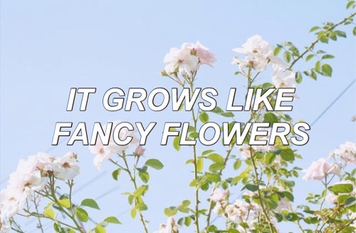 wanderinglips: The Piano Knows Something I Don’t Know // Panic! At The Disco