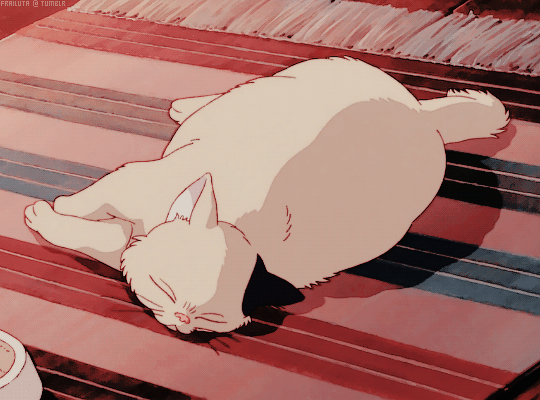 frailuta: Studio Ghibli + Cats