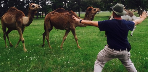 bastardlybrendan: #Prattkeeping is getting big in the zookeeping community 