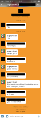 sugaryviolet:I don’t reply to 90% of messages starting with just “Hey” or “hi”, cause this (or variants of this) happens way too often… Seriously guys, If you want my attention DO NOT START YOUR MESSAGE WITH “hey” OR “hi” because