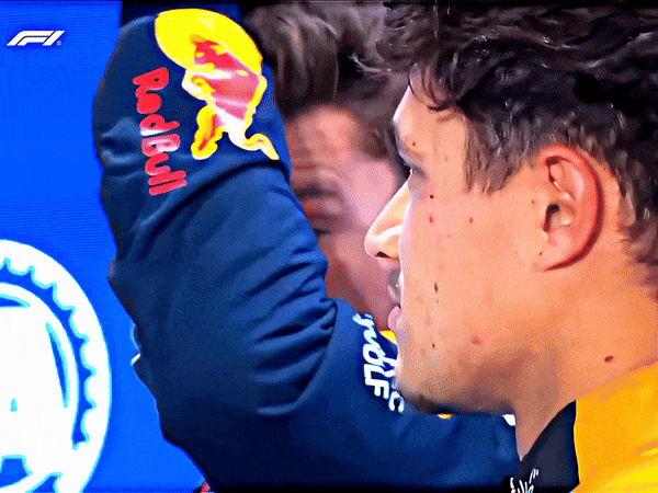 MAX VERSTAPPEN, Post Qualifying