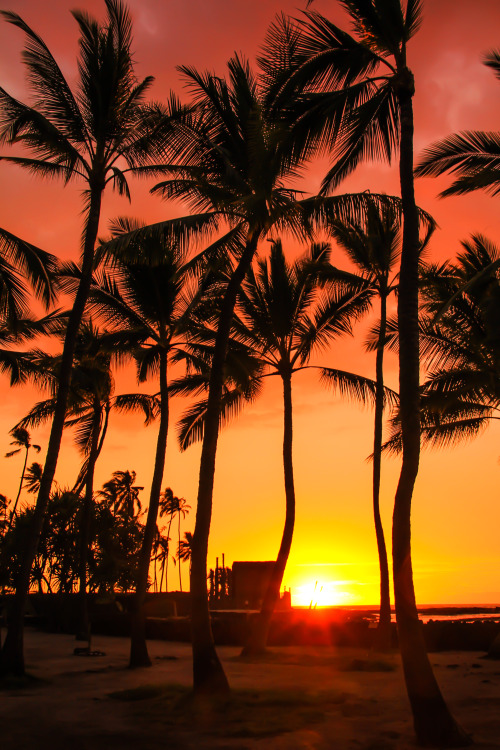 czechthecount:  Paradise by czechthecount: instagram | facebook | 500px | society6  Reminds me of my time in SoCal