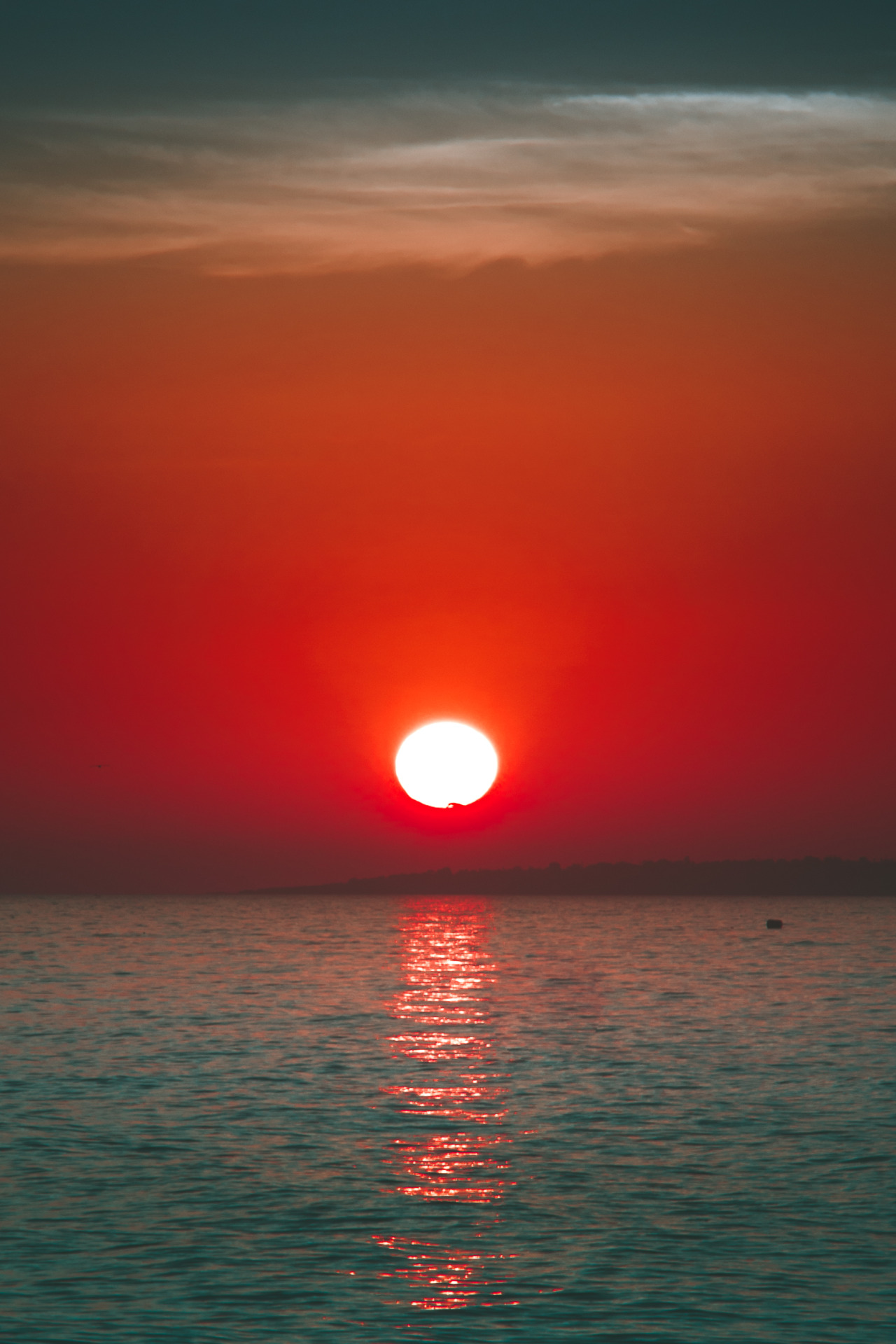 pedromgabriel:  - The red, the blue and the magic -  by Pedro Gabriel Instagram