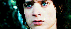 terpsichorv:There are others forces at work in this world, Frodo, besides the will of evil.