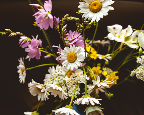 8/12/19Fresh picked wild flowers from the mountain meadows in Idaho.