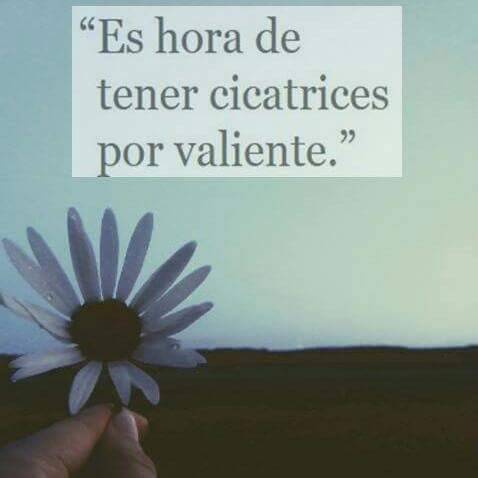 efecto-amor:  ❁