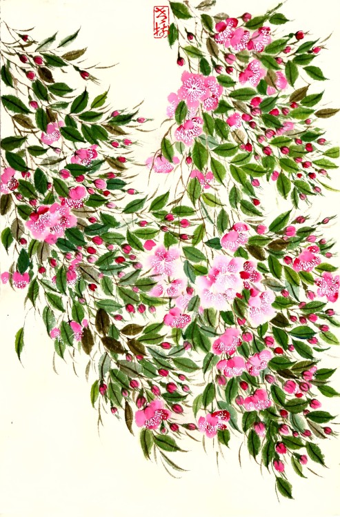 Traditional Chinese paintings by Oldtreepainting (老树画画). Fancy flowers!