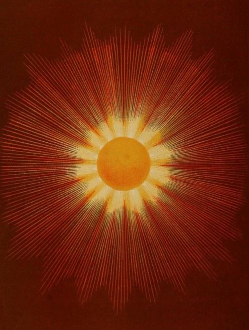 jamesusilljournal:                 The Sun , Plate 1 from ‘Electro astronomical atlas … with explanatory notes, questions and answers’ by Joseph W Spoor, 1874