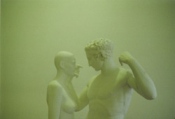untrustyou:  Julianne Popa