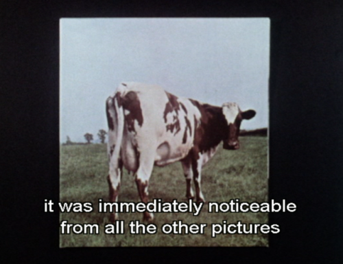 nedison:The wisdom of Storm Thorgerson and the artistry of Aubrey Powell on Atom Heart Mother.