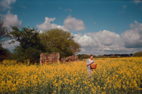 nicoletteclarailes - needle in a haystack / nicolette clara iles